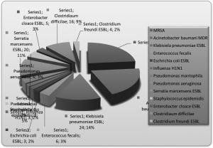 Grafikon 11. Struktura ispitanika prema uzročnicima BI-kolonizata